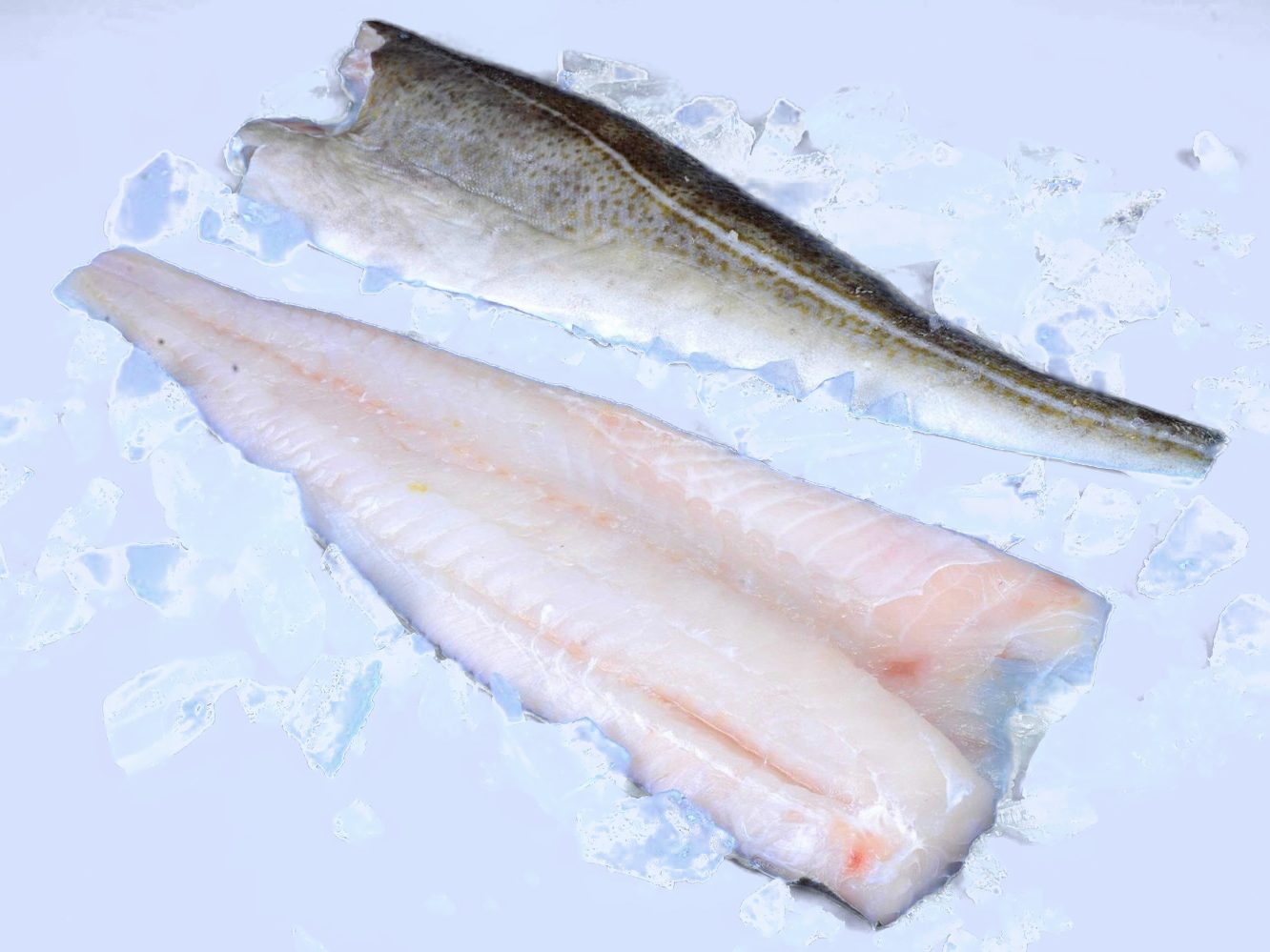 Frozen cod fillets